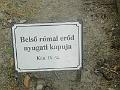 IMG_20220507_112441