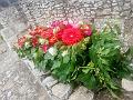 IMG_20220507_120431
