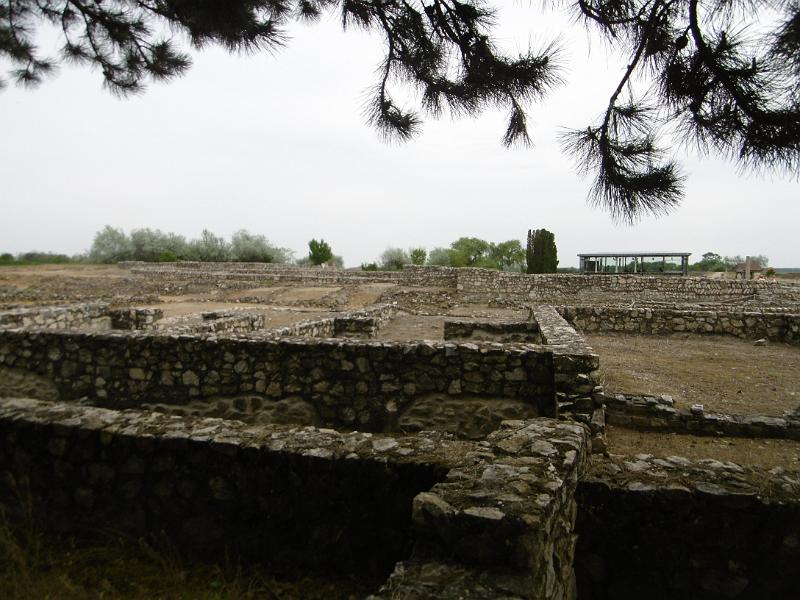 P3340290.JPG