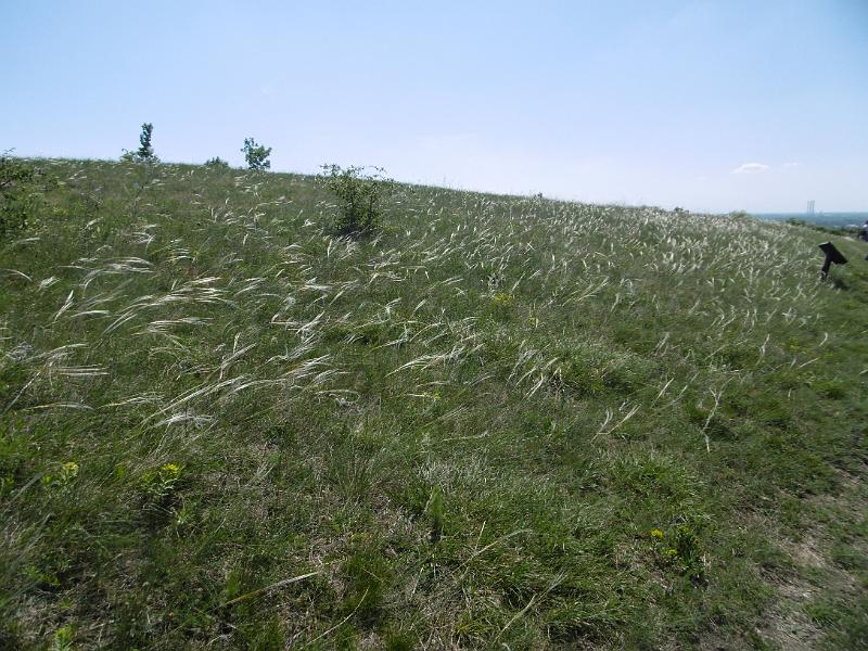 P3340304.JPG