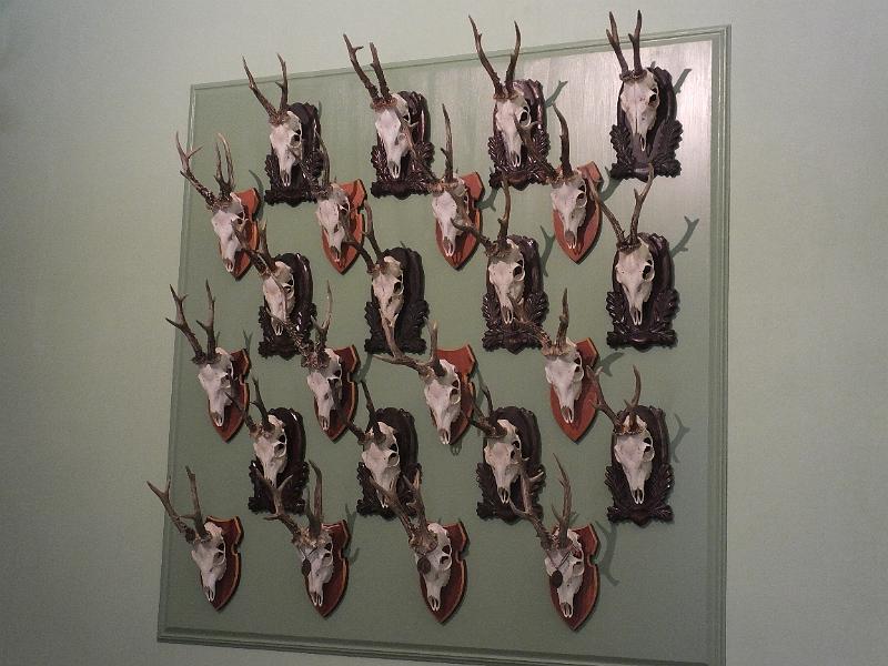 DSCF2527.JPG