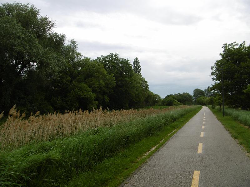 P3340348.JPG