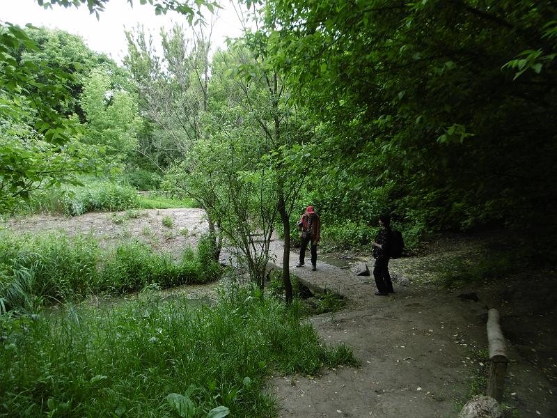 P3340353.JPG