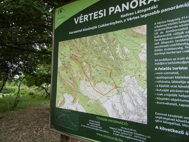 P3340368.JPG