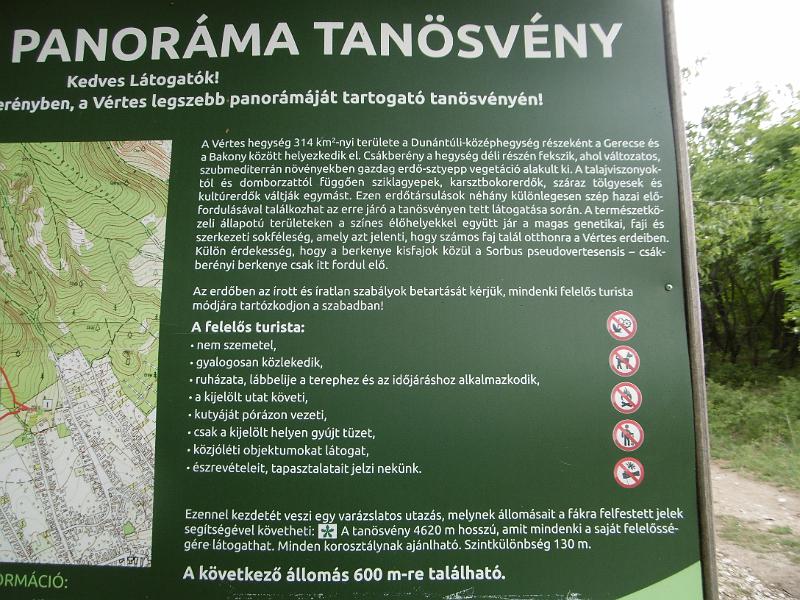 P3340369.JPG