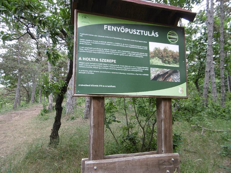 P3340372.JPG
