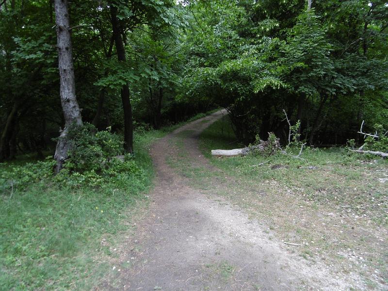 P3340373.JPG