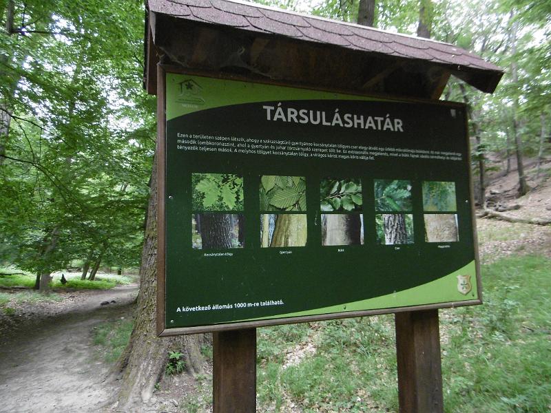 P3340374.JPG