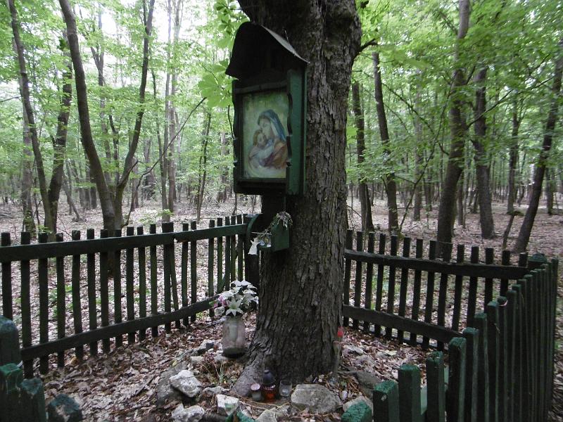 P3340378.JPG