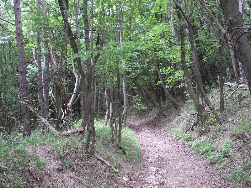 DSCF2543.jpg