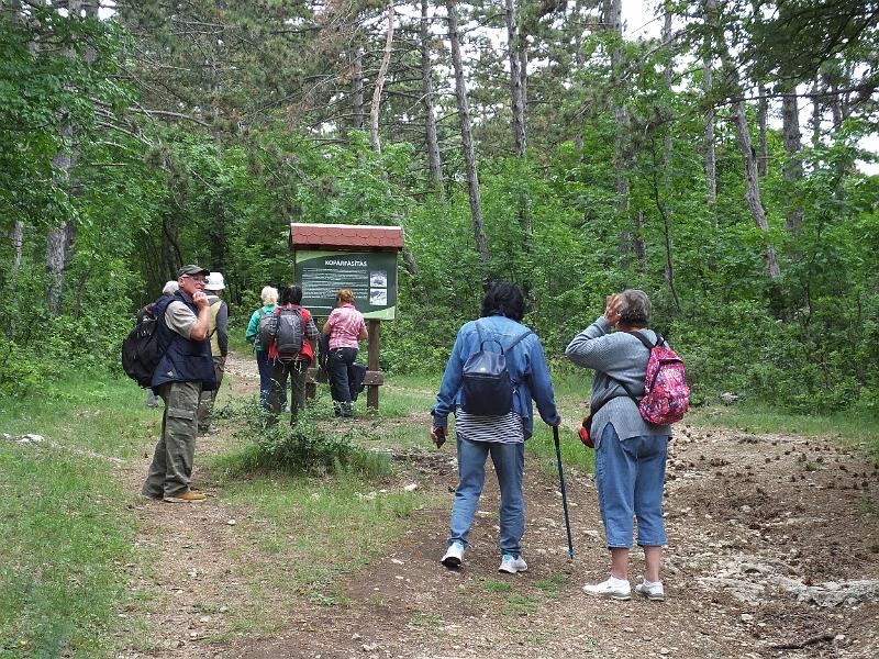 DSCF2544.jpg