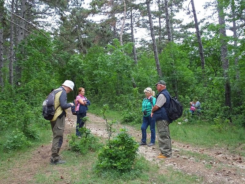 DSCF2545.jpg