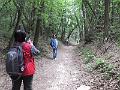 DSCF2539