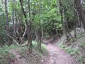 DSCF2543