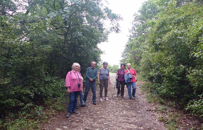 P1290238.jpg
