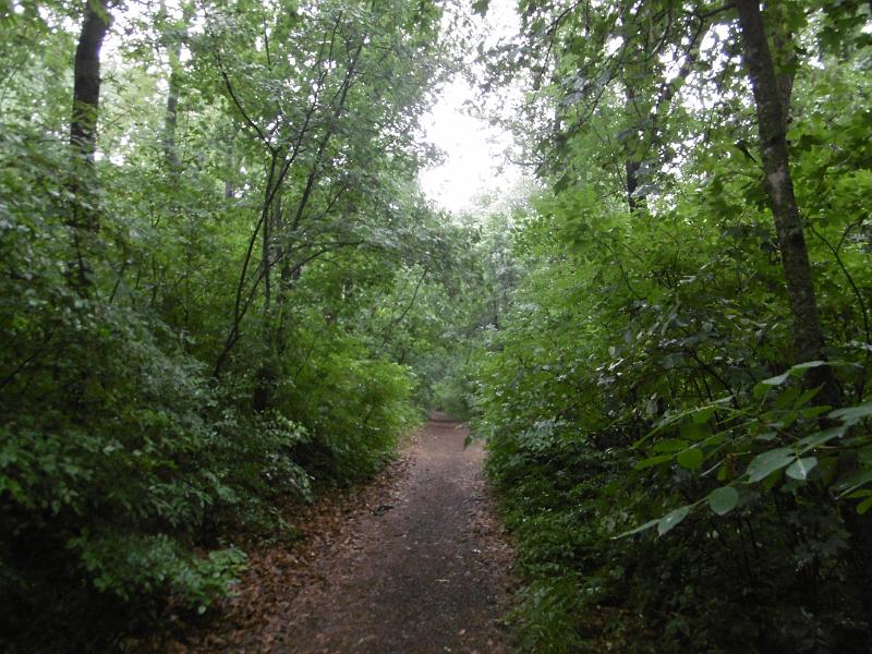 P3340384.JPG