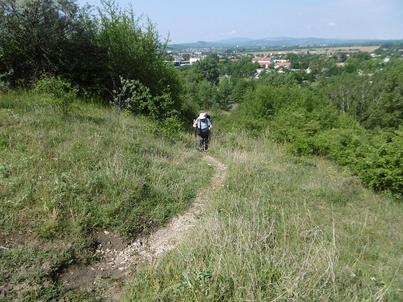 P3340403.JPG