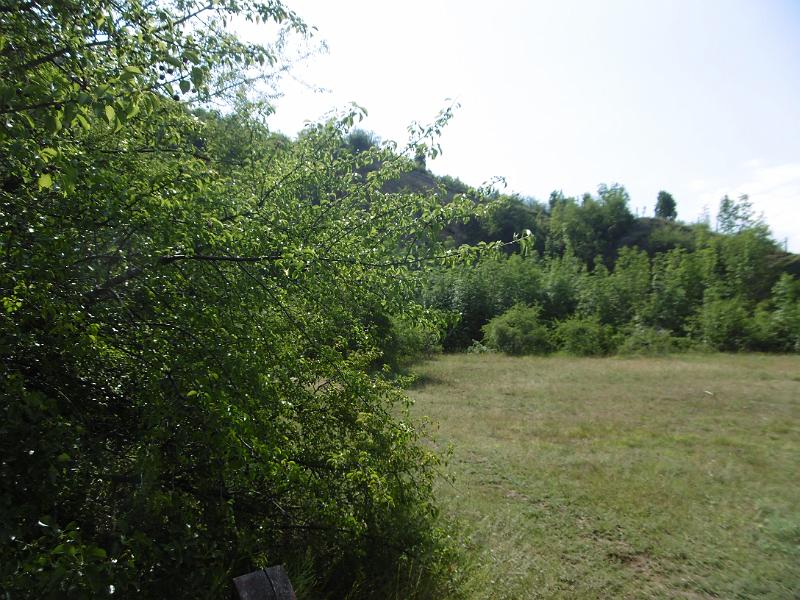 P3340404.JPG