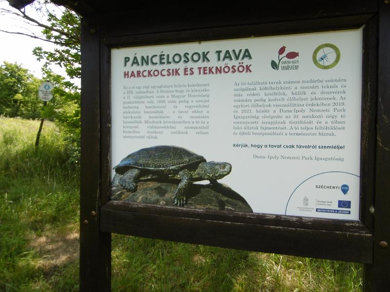 P3340425.JPG