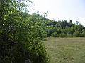 P3340404