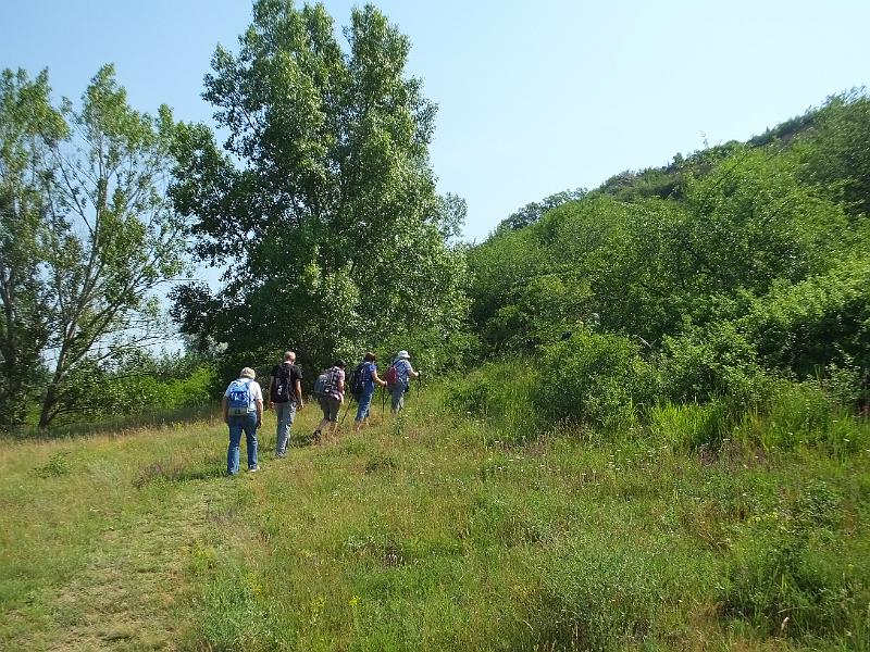 DSCF2561.JPG