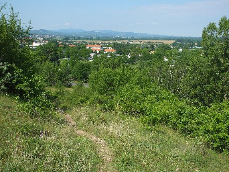 DSCF2563.JPG