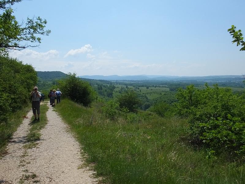 DSCF2570.JPG