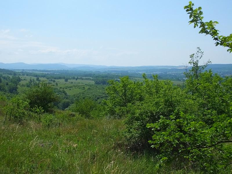 DSCF2571.JPG