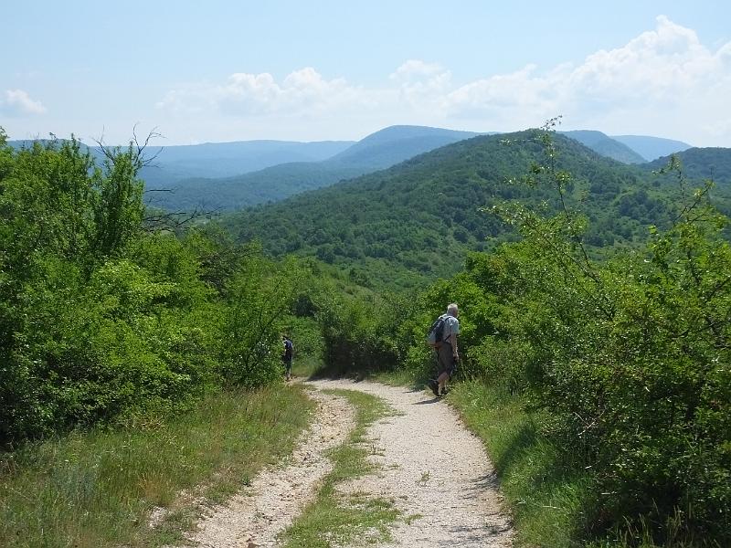DSCF2572.JPG