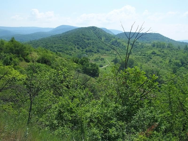 DSCF2573.JPG