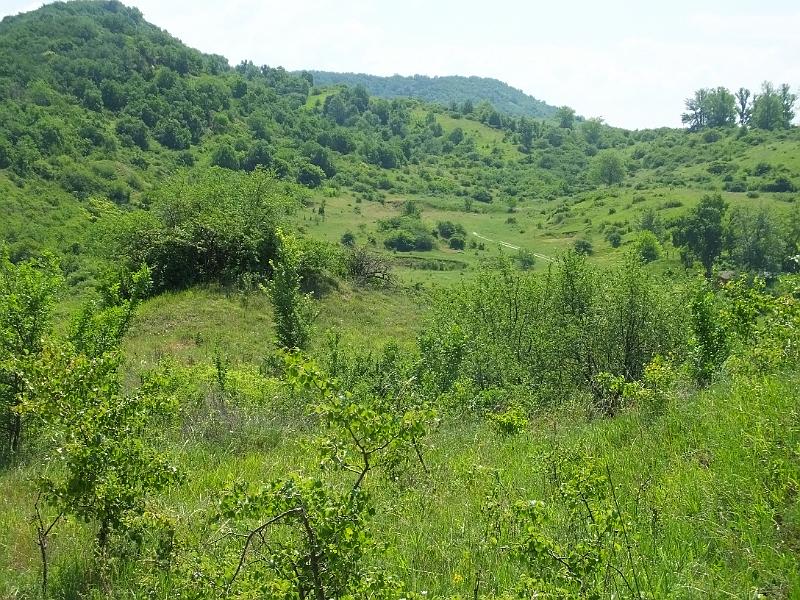 DSCF2574.JPG