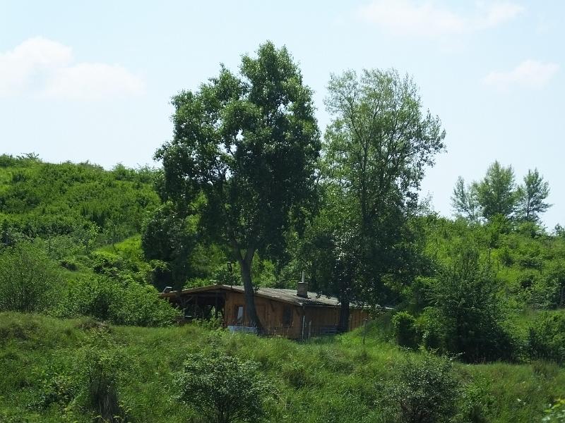 DSCF2577.JPG