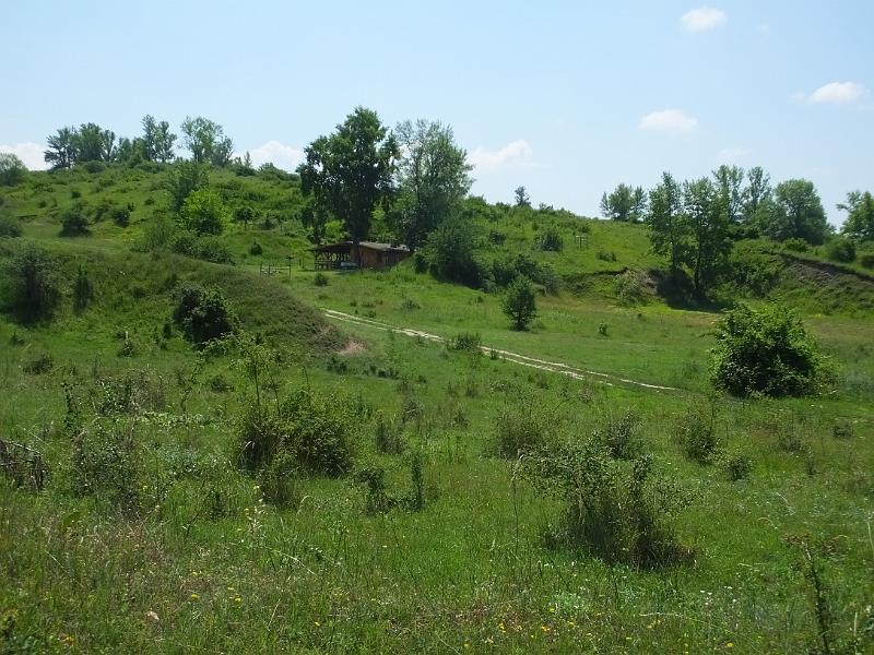 DSCF2579.JPG