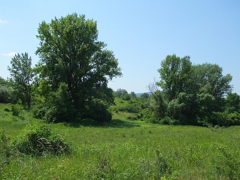 DSCF2580.JPG