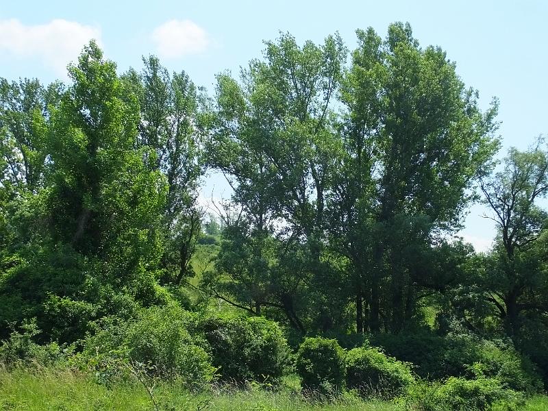 DSCF2581.JPG