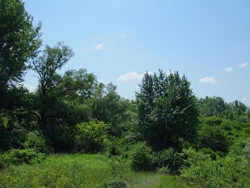 DSCF2582.JPG