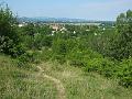 DSCF2563