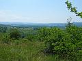 DSCF2571