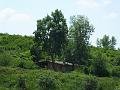 DSCF2577