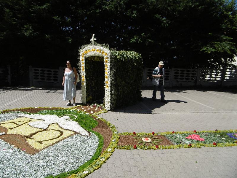 P3340428.JPG