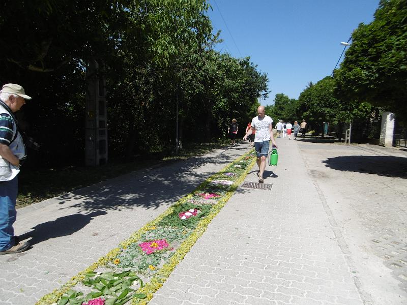 P3340429.JPG