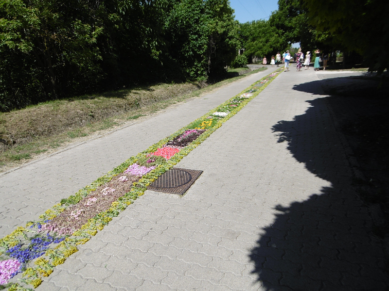 image01.png