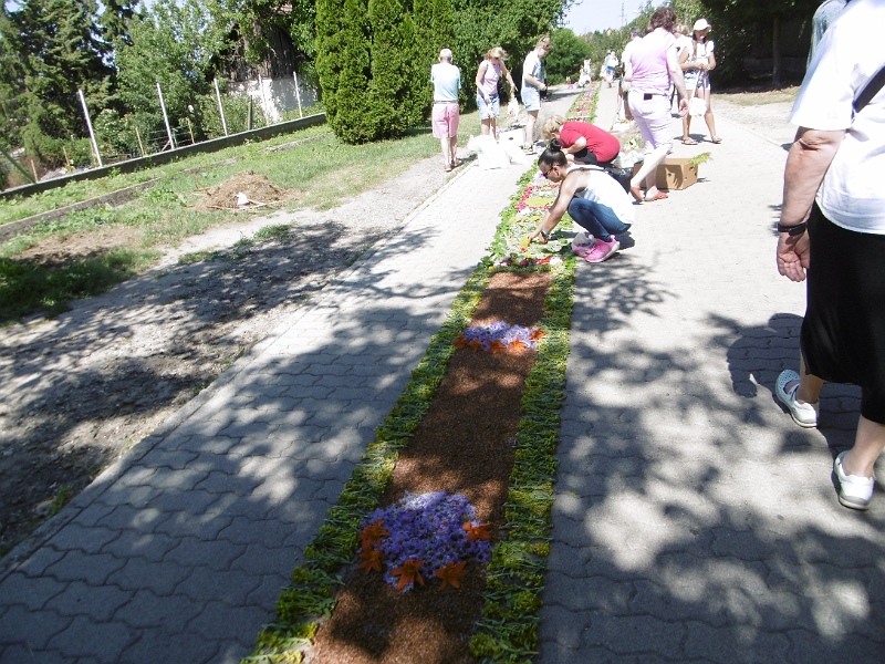 image02.png