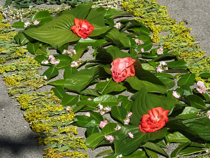 image05-Gyula.png