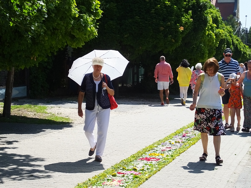 image07-Gyula.png