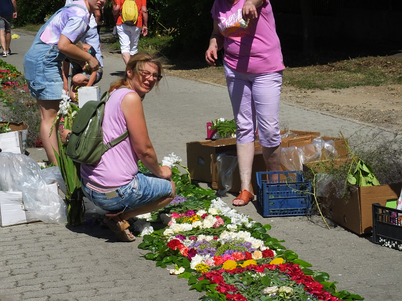 image08-Gyula.png