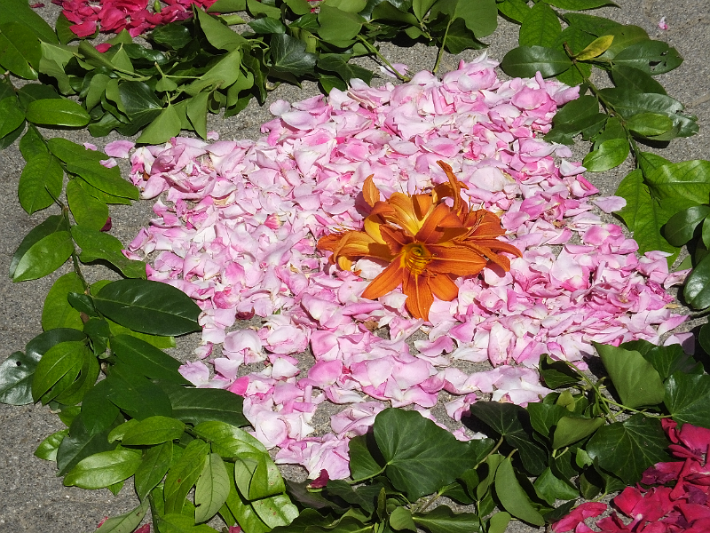 image09-Gyula.png