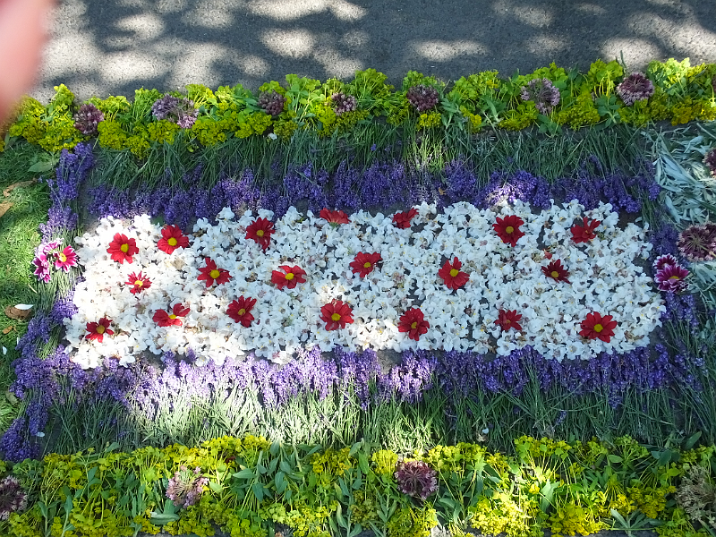 image17-Gyula.png