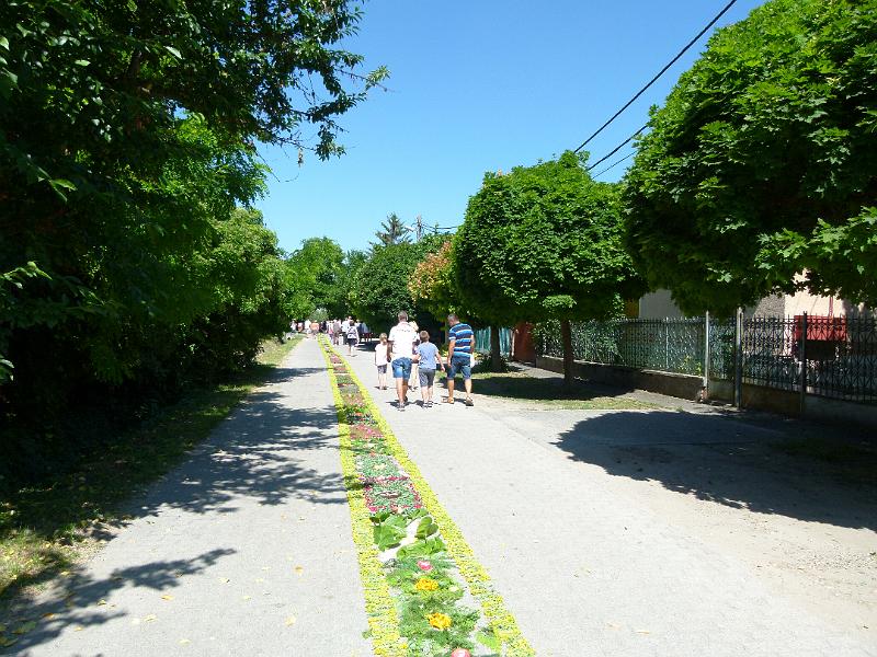 L1420377.JPG