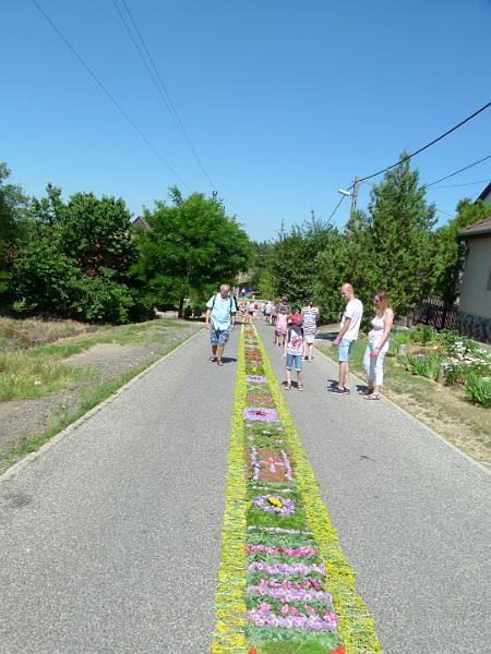 L1420394.JPG